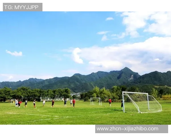 足球活动的魅力与影响力探讨及其在青少年成长中的重要作用